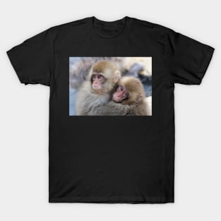 Snow monkey brothers? T-Shirt